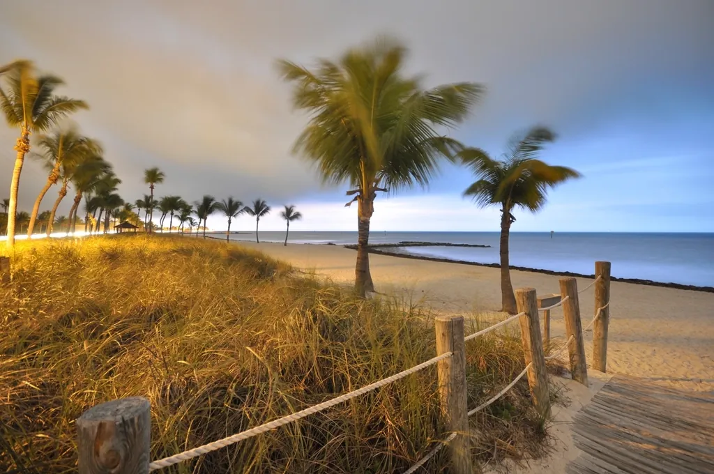 Palm trees and sea oats along a Florida beach path